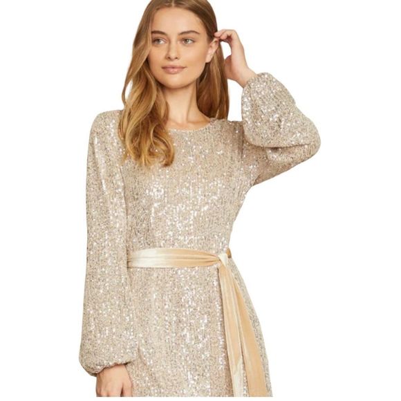 Champagne Sequin Dress with Balloon Sleeves and Velvet Sash Size XL - Picture 2 of 10